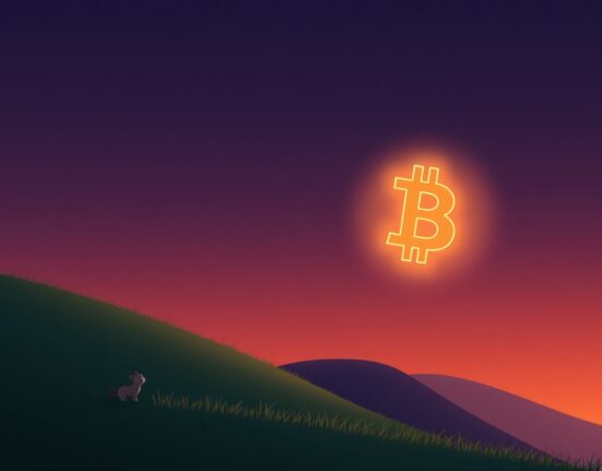 Bitcoin achieves a significant milestone by surpassing the $96,000 price level in global markets.