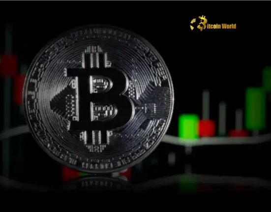 Bitcoin Price Warning Signs Emerge for Potential Correction