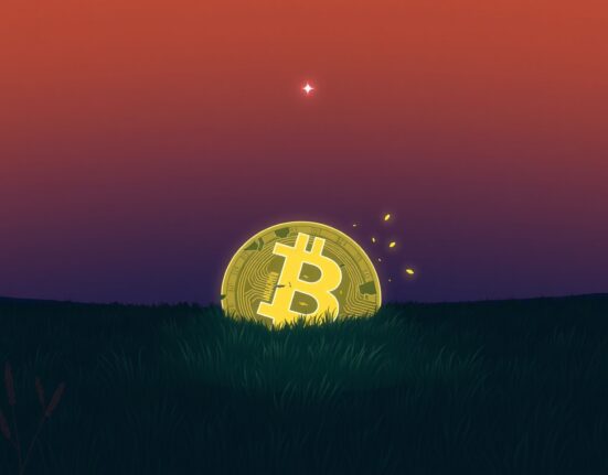 Conceptual representation of historic Bitcoin network realized losses and market capitulation.