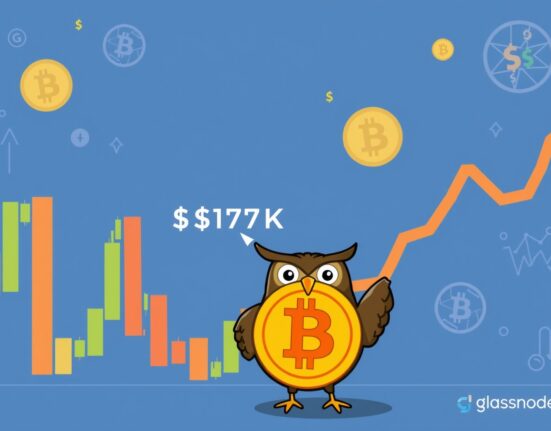 Cartoon illustration of an owl analyst pointing to the $117K Bitcoin resistance on a chart, symbolizing market challenges.