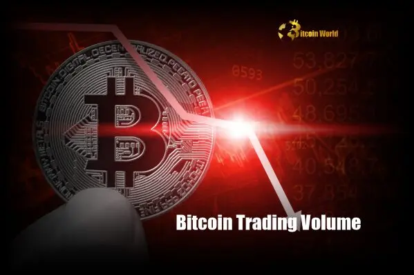 Bitcoin Trading Volume Hits Shocking Low: What This Means for BTC Price and the Market