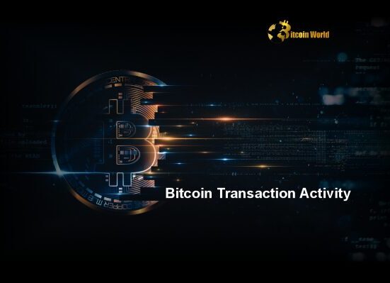 Bitcoin Transaction Activity: Why the Surprising 19-Month Low Matters