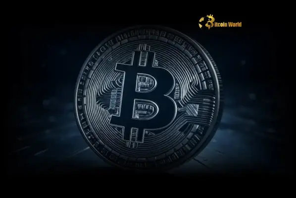 Bitcoin Treasury Ambition: The Blockchain Group Seeks Staggering €10 Billion