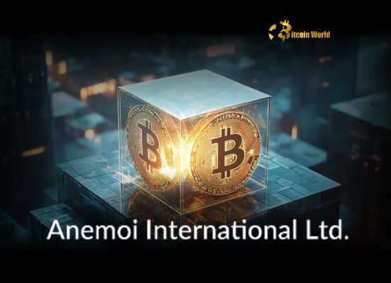 Bitcoin Treasury Strategy: Anemoi Makes Bold Move with 30% Allocation