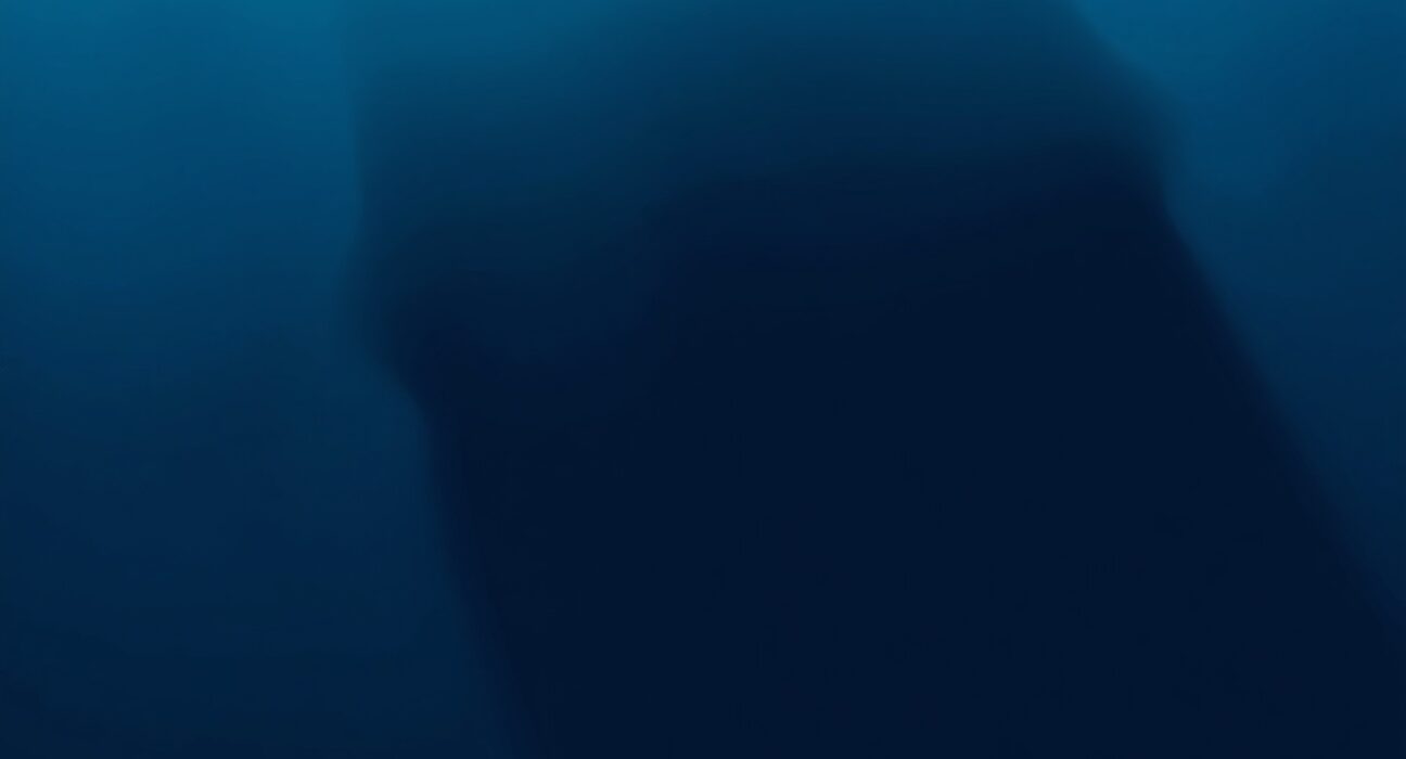 Bitcoin whale activity in a dormant phase, represented by a watchful whale in deep waters, symbolizing market caution.