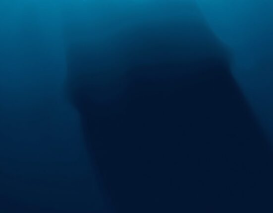 Bitcoin whale activity in a dormant phase, represented by a watchful whale in deep waters, symbolizing market caution.
