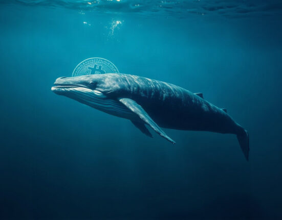 Bitcoin whale symbol swimming in the ocean, representing large-scale BTC accumulation