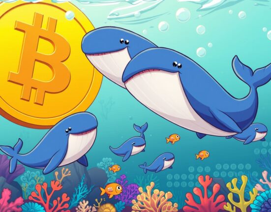 Bitcoin whales accumulating cryptocurrency in vibrant underwater blockchain world