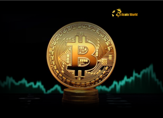 Bitcoin's Quiet Accumulation: On-Chain Activity Slumps as Futures Soar