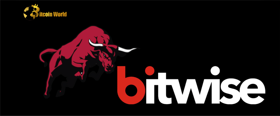 Strategist at Bitwise Asset Management Predicts Next Crypto Bull Market Will Be Record-Breaking