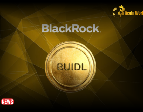 BlackRock BUIDL Fund Accumulates $11 Million USDC Stablecoins From Circle