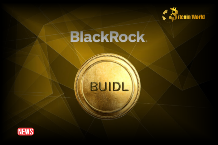 BlackRock BUIDL Fund Accumulates $11 Million USDC Stablecoins From Circle