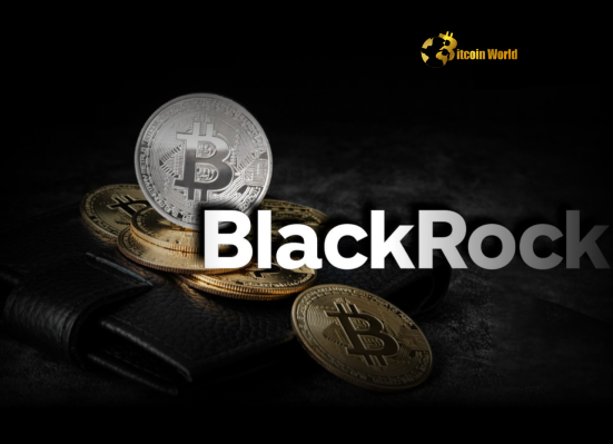 BlackRock Bitcoin Unlock Potential with a 2% Portfolio Allocation Recommendation