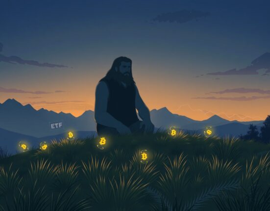 BlackRock's IBIT Bitcoin ETF investor returns analysis during market volatility