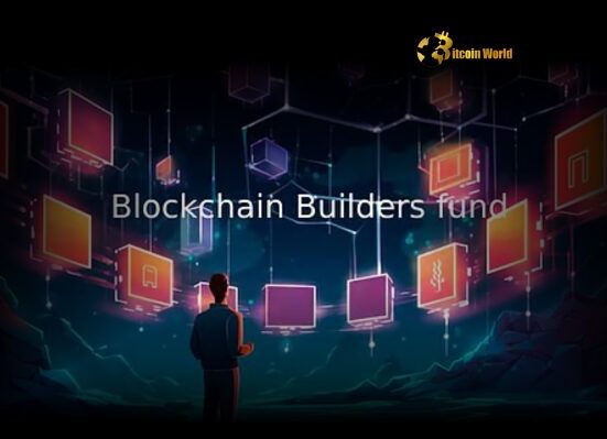 Blockchain Builders Fund Propels Early-Stage Web3 Startups with $28M Fund I Close