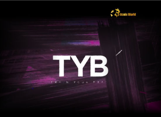Blockchain Loyalty Platform TYB Secures $11M Series A Funding