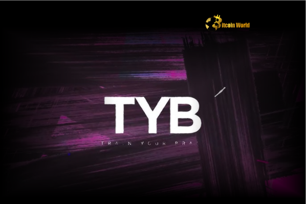 Blockchain Loyalty Platform TYB Secures $11M Series A Funding