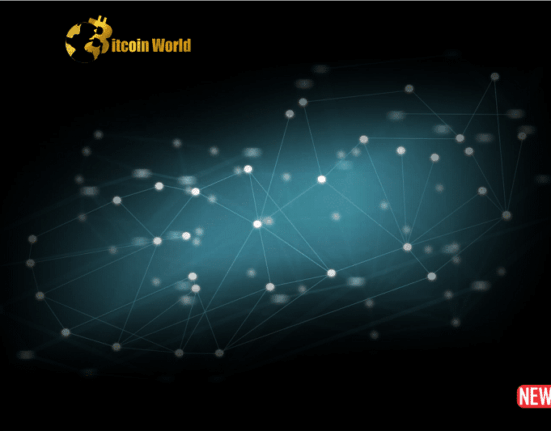 What Are Coins In Blockchain?