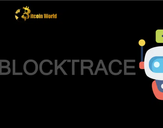 Blocktrace Builds AI Chatbot to Simplify Blockchain Transaction Tracking