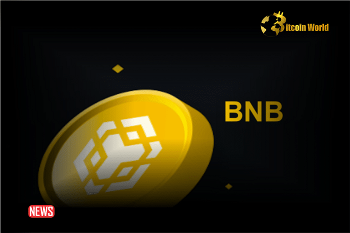 BNB Price Surges 62% In 30 Days: Can The Rally Be Sustained?