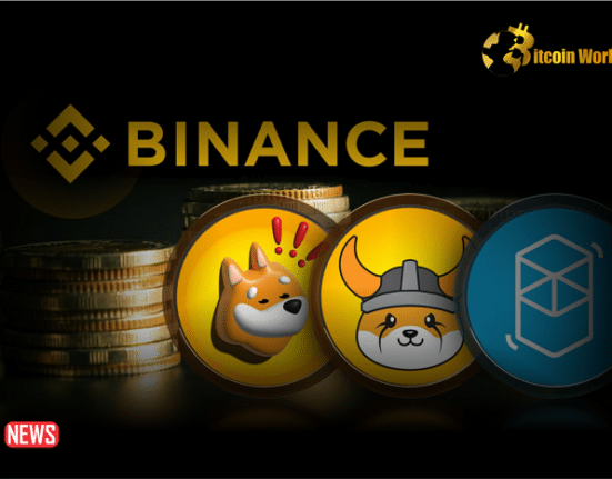 Binance Listed USDC Pairs For BONK And FLOKI, Will BONK Or FLOKI Move To The Top?