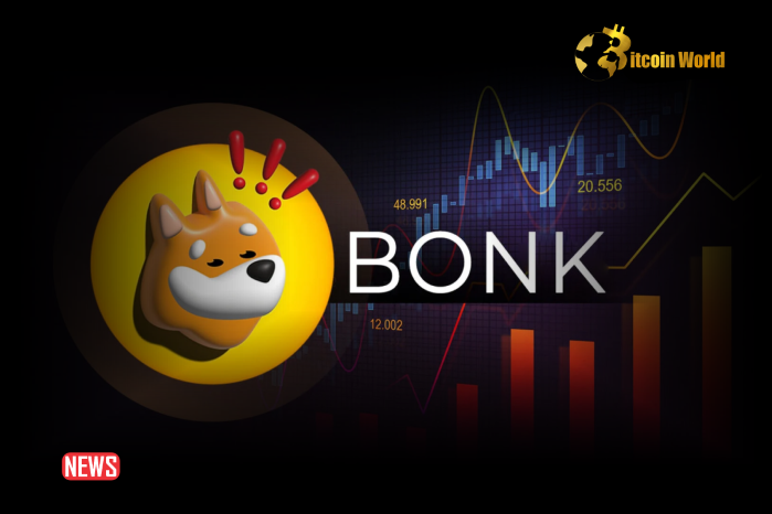 BONK Gains 15% In 24 Hours – Should Traders Prep For Another Rally Now?