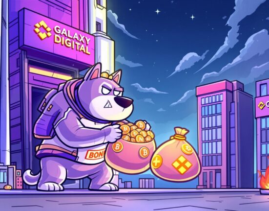 Cartoon illustration depicting a large BONK token transfer by a whale entity, symbolizing significant market movement.