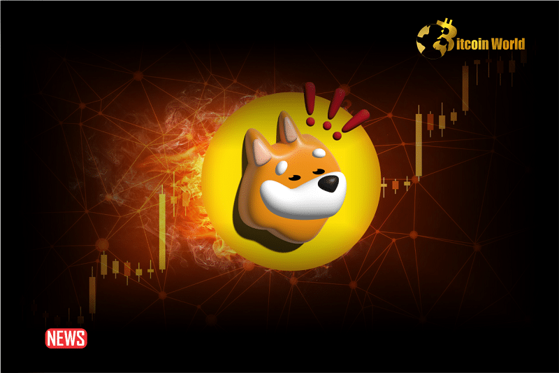 BONK Price Attains A New ATH, Outperforming Shiba Inu and Dogecoin