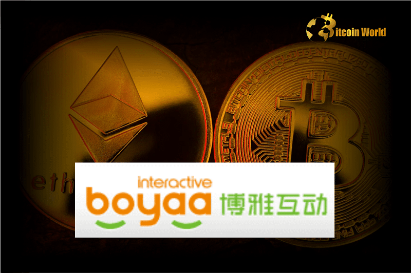 Chinese Company Announces It Will Invest $100 Million in Bitcoin and Ethereum