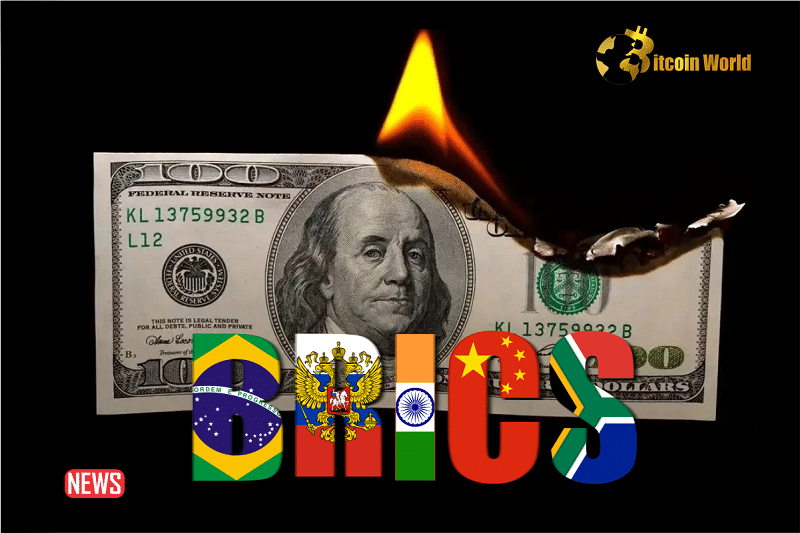 BRICS Nations To Ditch The USD With Local Currencies For Global Trade