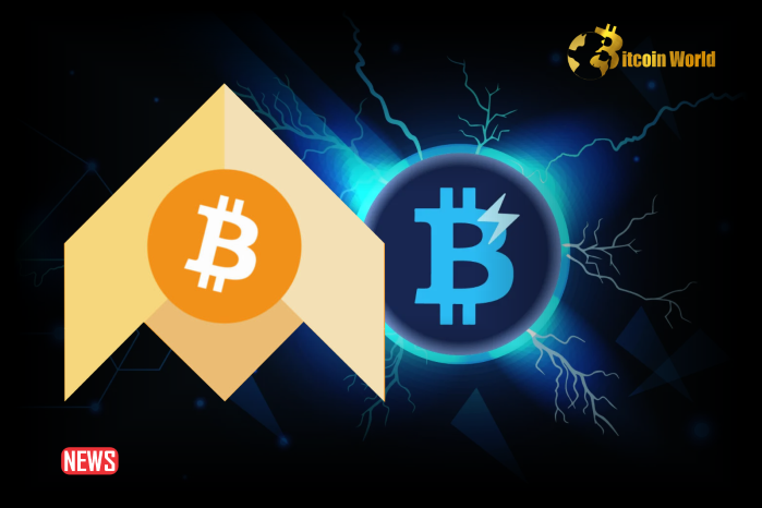Bitcoin Developer Burak Introduces New Layer 2 ‘Brollups’