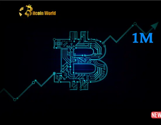 Bitcoin's Millionaire Club: Wholecoiner Addresses Hit a Record High!