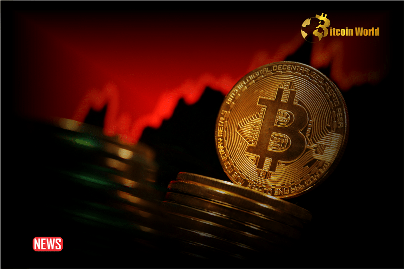 BTC ETF Hype Is Over As Bitcoin Price Drops To 2024 Lows
