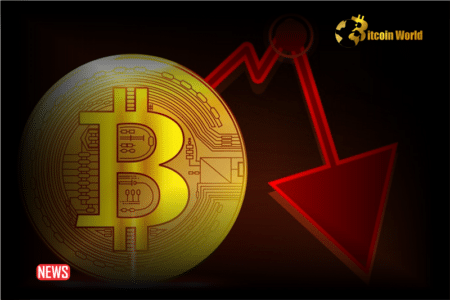 Bitcoin Price Has Continued To Fall, Dropping Below $40,000 - BitcoinWorld