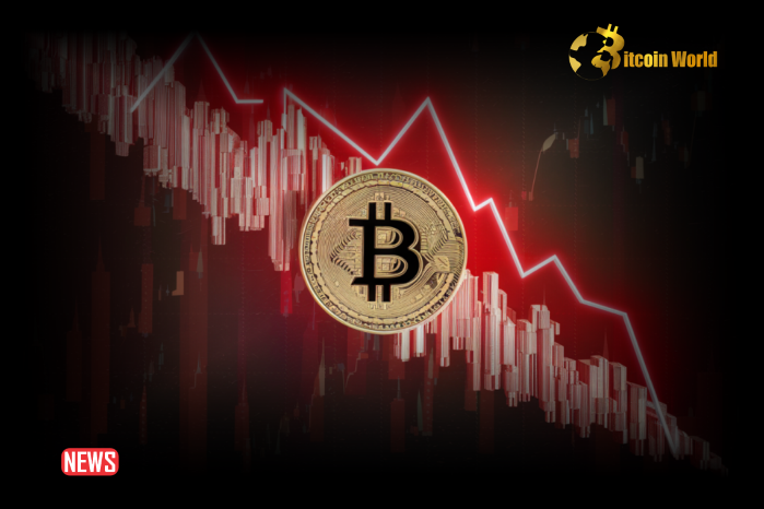 Bitcoin Price Crashed Below $50k