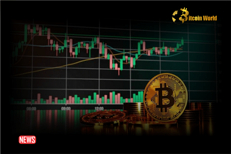 7 Successful Strategies For Cryptocurrency Investment
