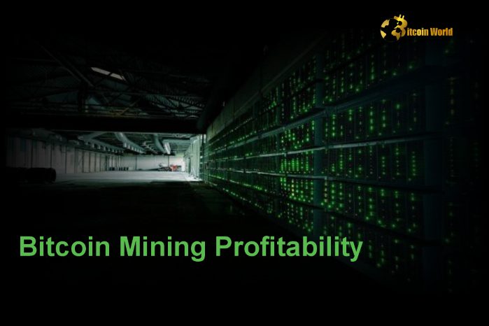 Bitcoin Mining Profitability Jumps 29% Amid Rising Market Activity