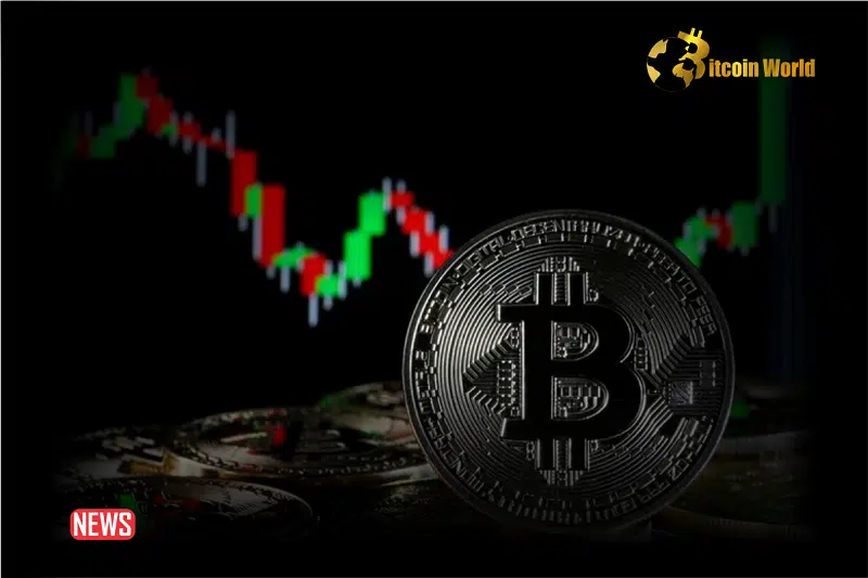 Bitcoin Price Surged Past $47,000 Mark: Here Are The 3 Key Reasons