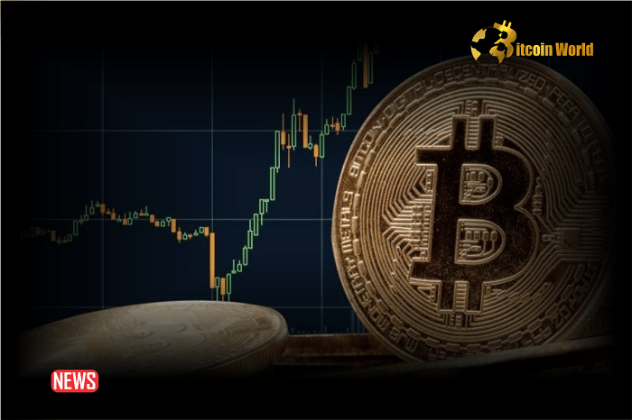 Bitcoin Touches $64K, Nearing All-Time Highs as Halving Approaches