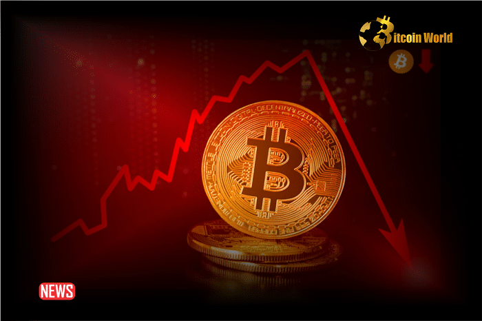 What! Bitcoin Price Dumped To $66K As Bears Gain Strength, $64K Next?