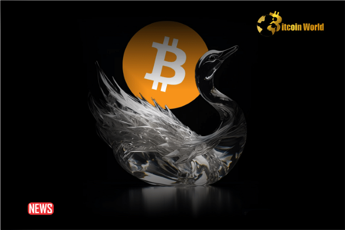Swan Bitcoin Abandoned IPO Plans, Stops Mining Operations