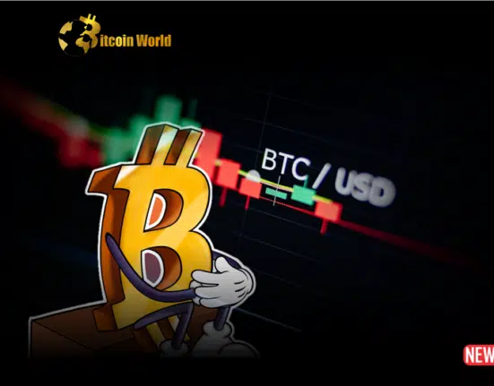 Decoding the Bitcoin Slowdown: Are Key Metrics Signaling Trouble?
