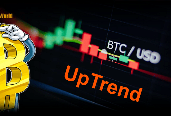 Key Technical Indicator Signals Bitcoin ($BTC) Price in Uptrend for First Time Since December 2021