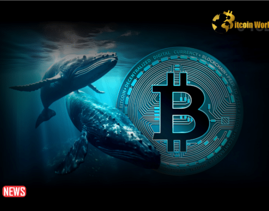 Bitcoin Whales Accumulate $941M BTC As Prices Drop, What Does This Mean?