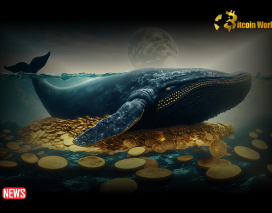 Bitcoin Whales Accumulating As BTC Price Rebounds To $67K