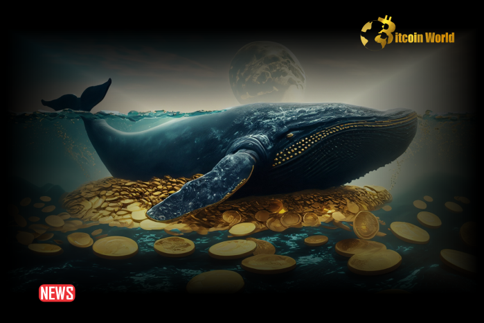 Bitcoin Whales Accumulating As BTC Price Rebounds To $67K