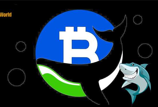 Bitcoin Whale and Shark Addresses Accumulated Over $4.4 Billion in $BTC Amid Price Rise