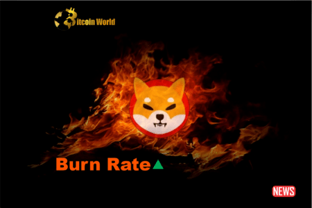 Shiba Inu Burn Rate Skyrockets 39,000% After Mysterious Wallet Burns 1. ...