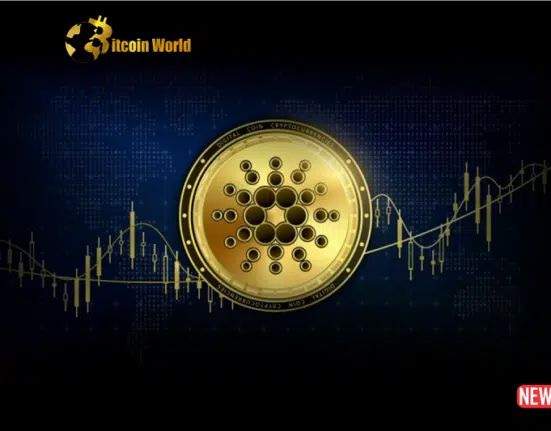 Cardano's Crossroads: Navigating the Death Cross with the Optimism of Node 8.1.1