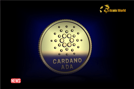 ADA Price Rose 36.5% in Two Weeks as Cardano Sees Increased Whale Transactions and Address Activity